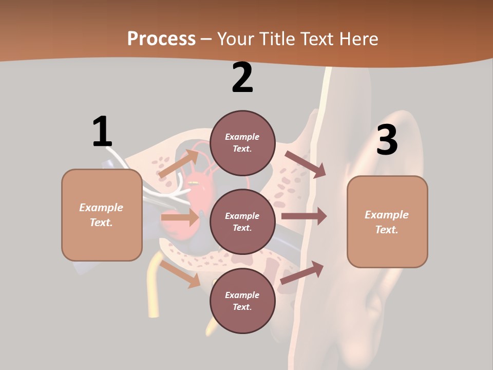 Ear PowerPoint Template