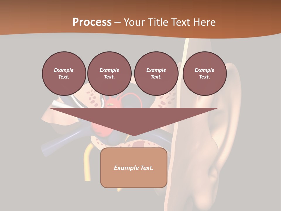 Ear PowerPoint Template