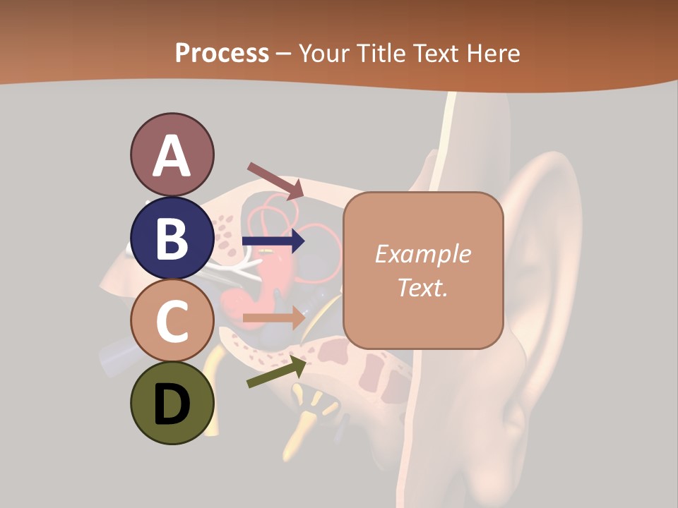 Ear PowerPoint Template