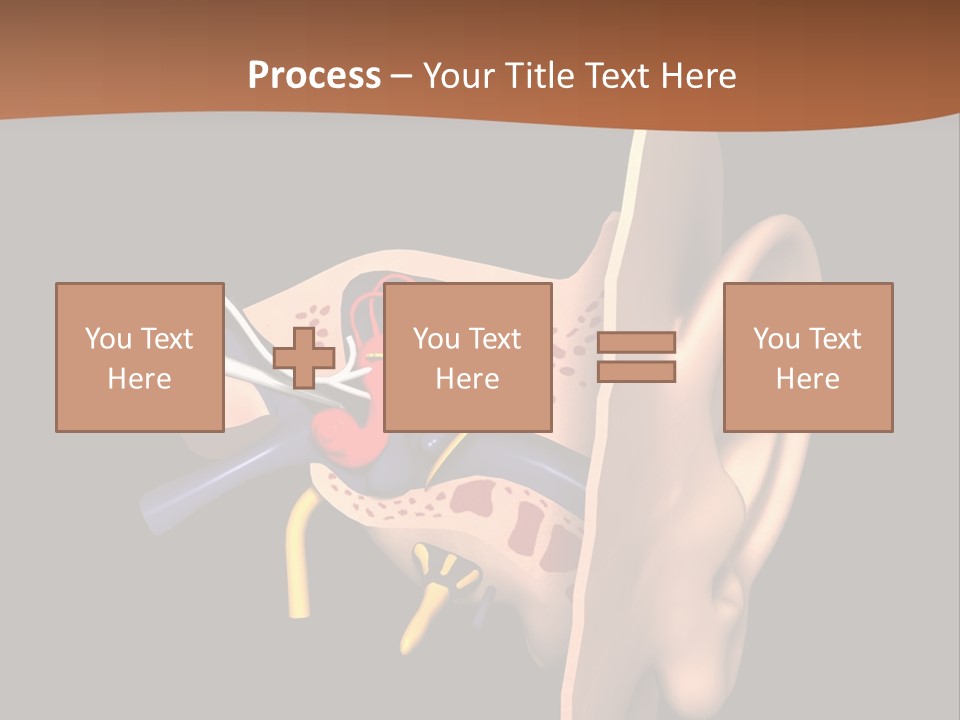 Ear PowerPoint Template