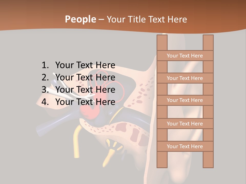 Ear PowerPoint Template