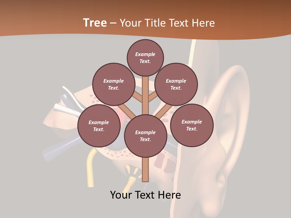 Ear PowerPoint Template