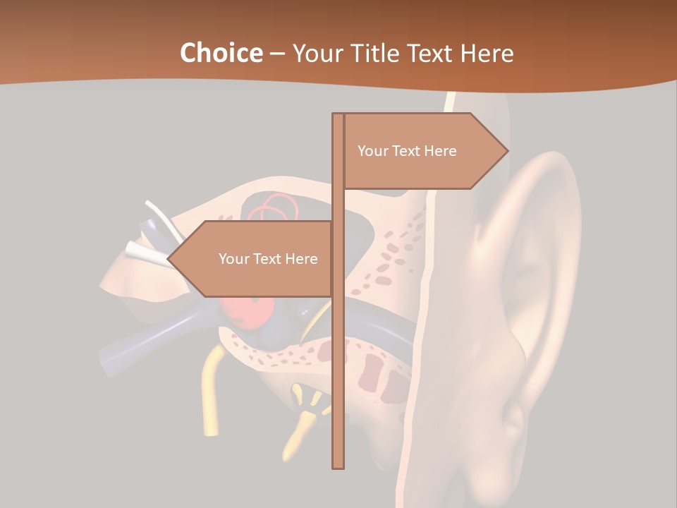 Ear PowerPoint Template