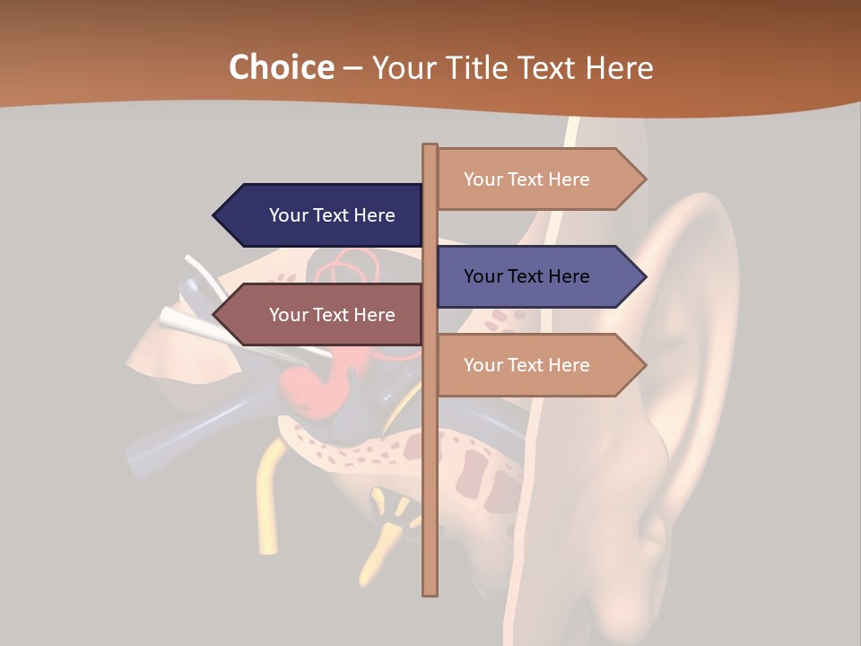 Ear PowerPoint Template