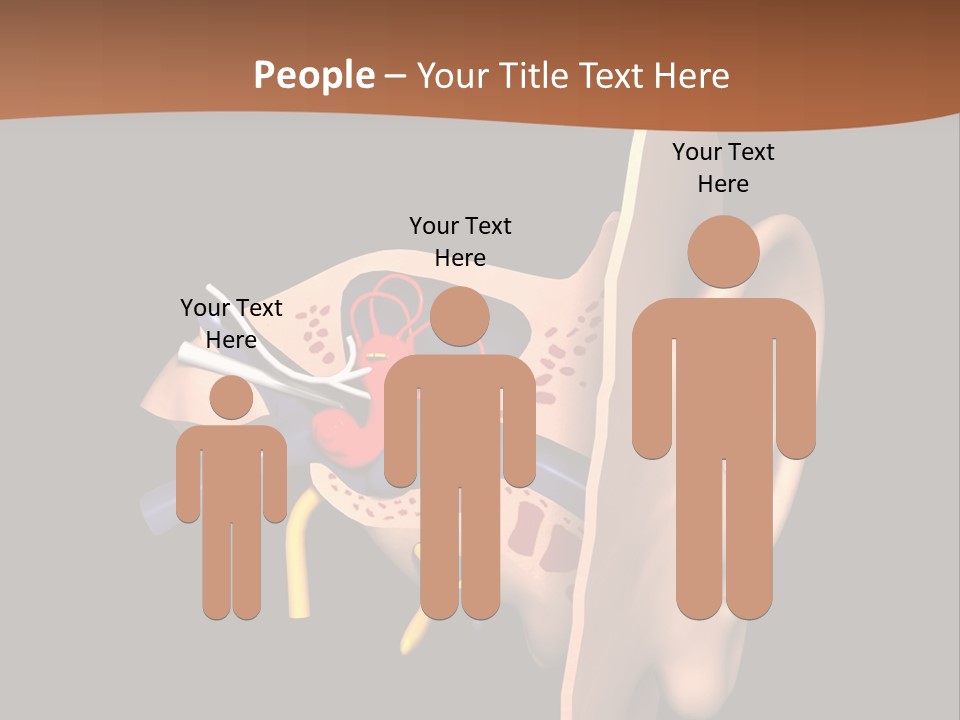 Ear PowerPoint Template