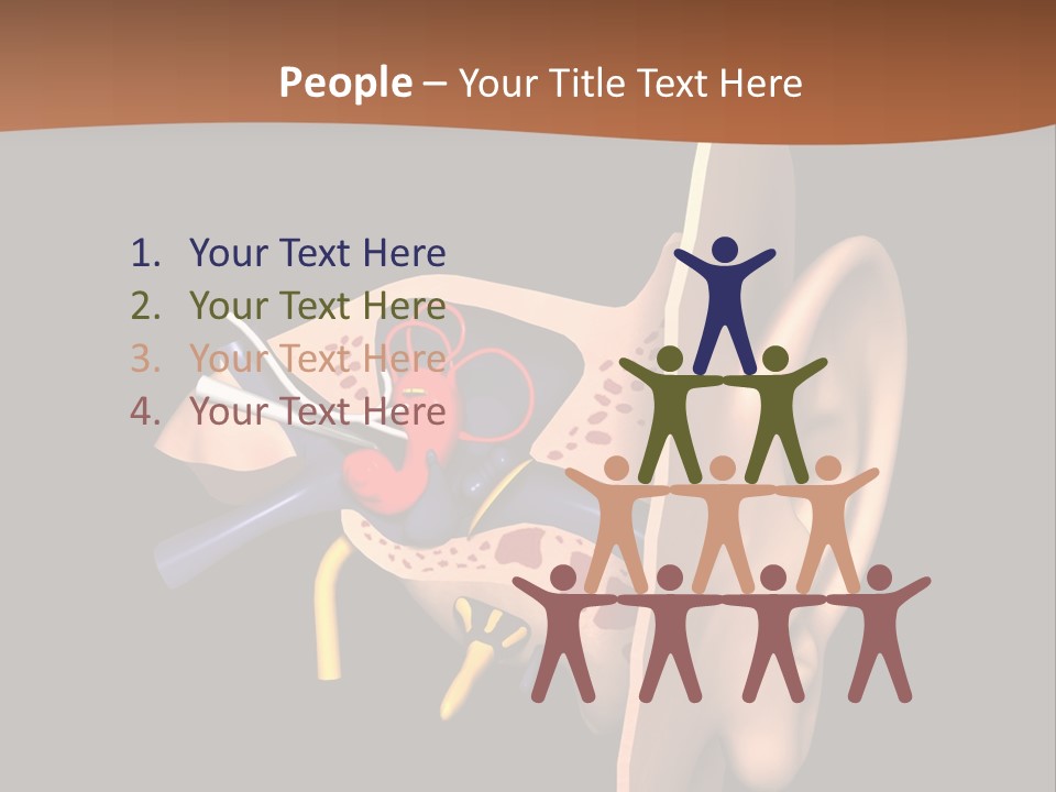 Ear PowerPoint Template