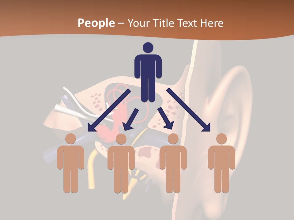 Ear PowerPoint Template