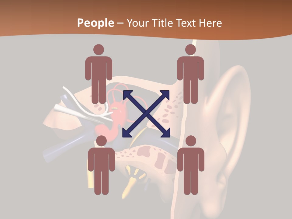 Ear PowerPoint Template