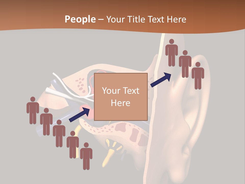 Ear PowerPoint Template
