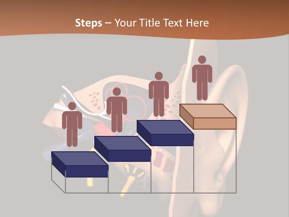 Ear PowerPoint Template