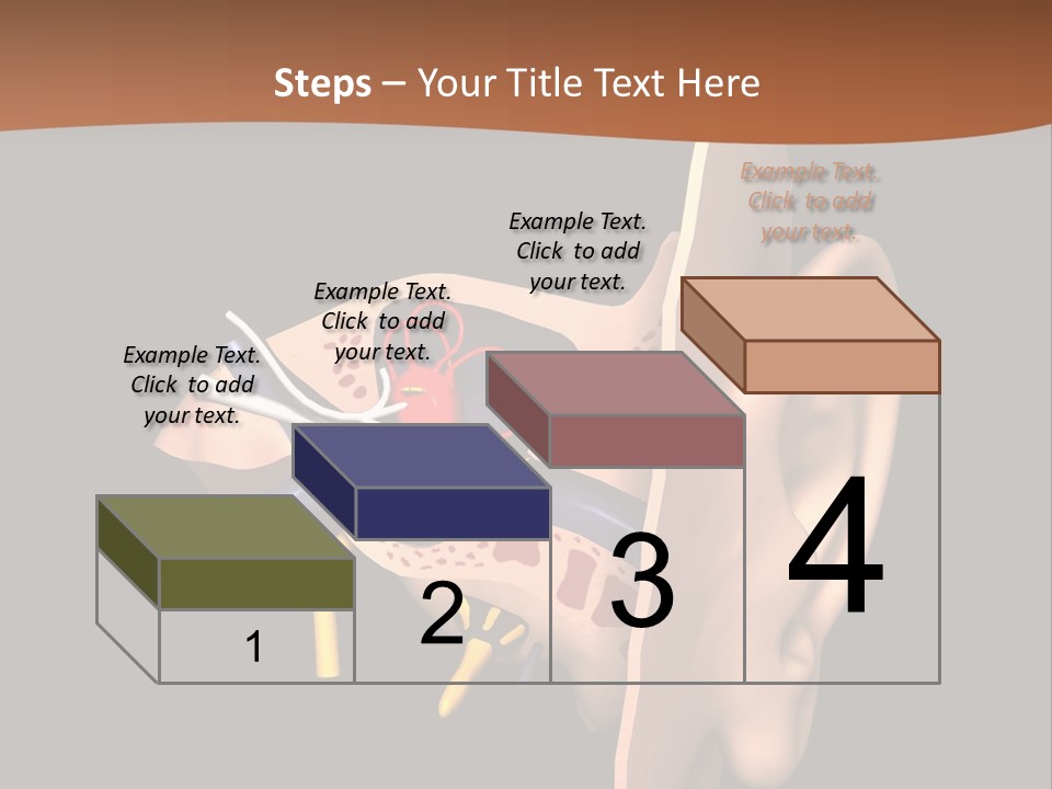 Ear PowerPoint Template