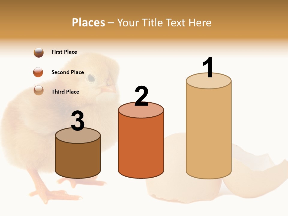 The Chick And The Egg PowerPoint Template