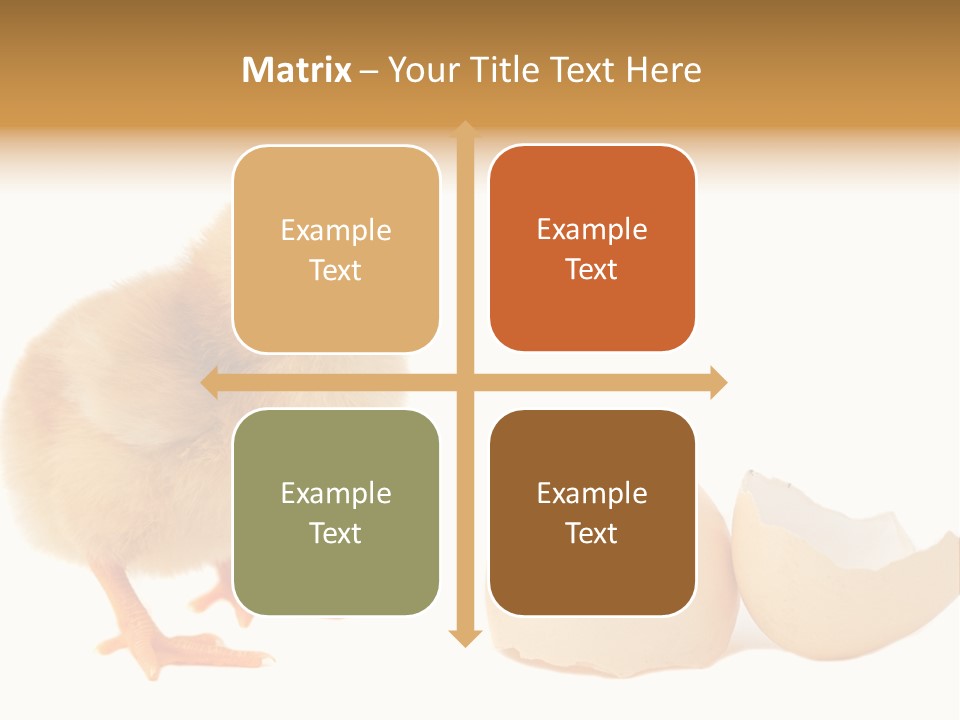 The Chick And The Egg PowerPoint Template