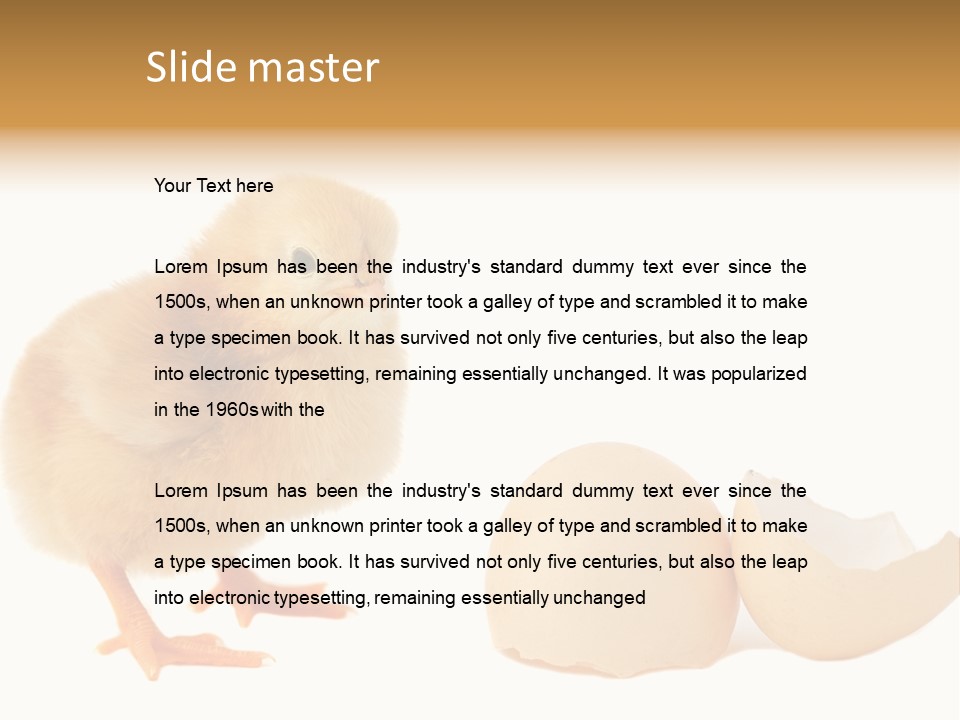 The Chick And The Egg PowerPoint Template