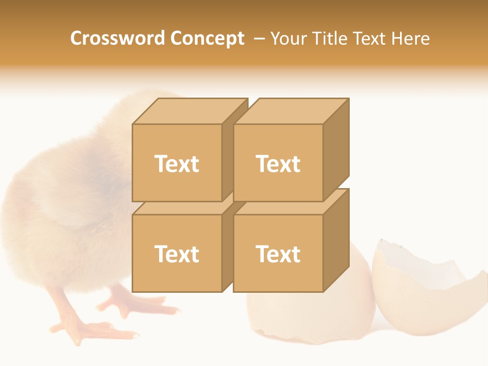 The Chick And The Egg PowerPoint Template
