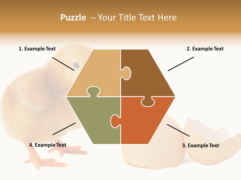 The Chick And The Egg PowerPoint Template