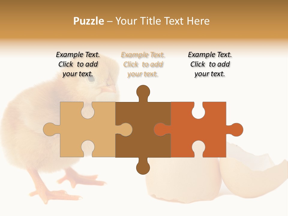 The Chick And The Egg PowerPoint Template