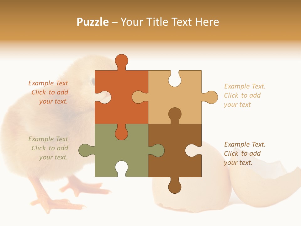 The Chick And The Egg PowerPoint Template