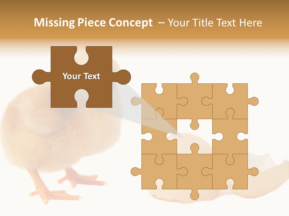 The Chick And The Egg PowerPoint Template