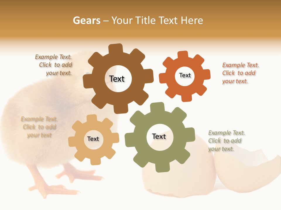 The Chick And The Egg PowerPoint Template