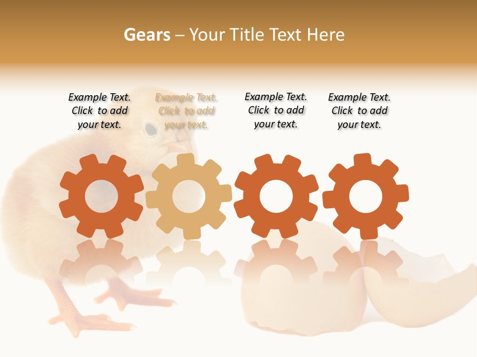 The Chick And The Egg PowerPoint Template