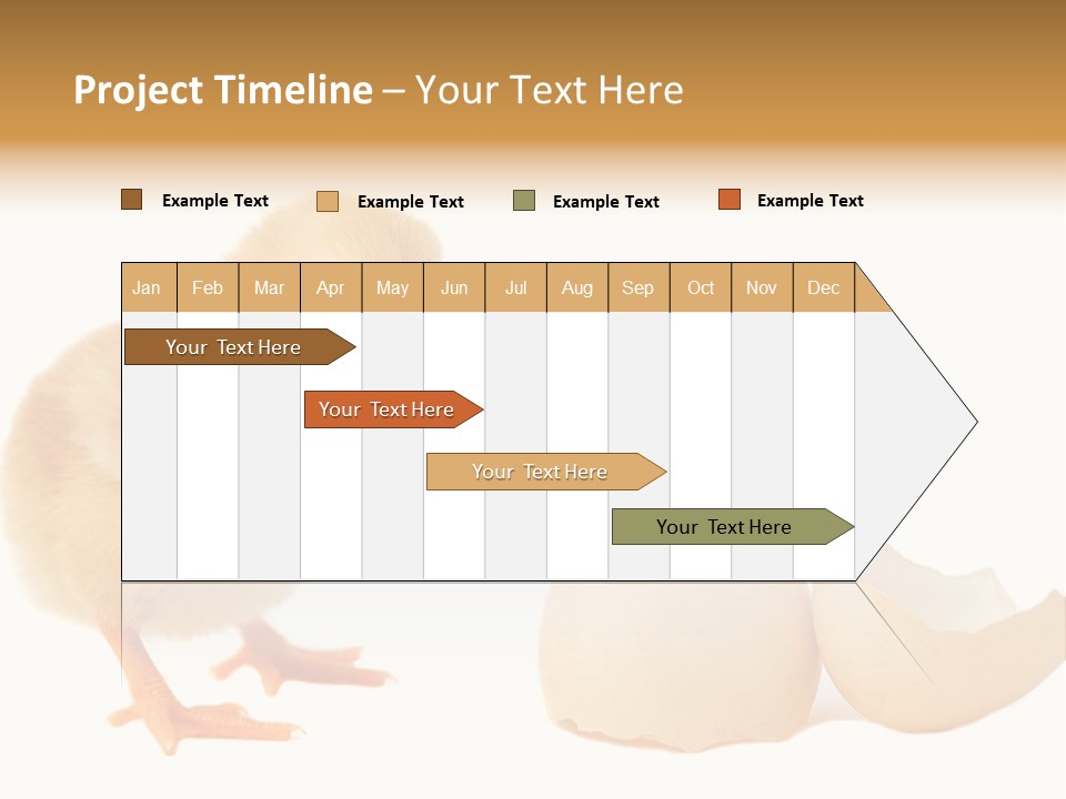 The Chick And The Egg PowerPoint Template