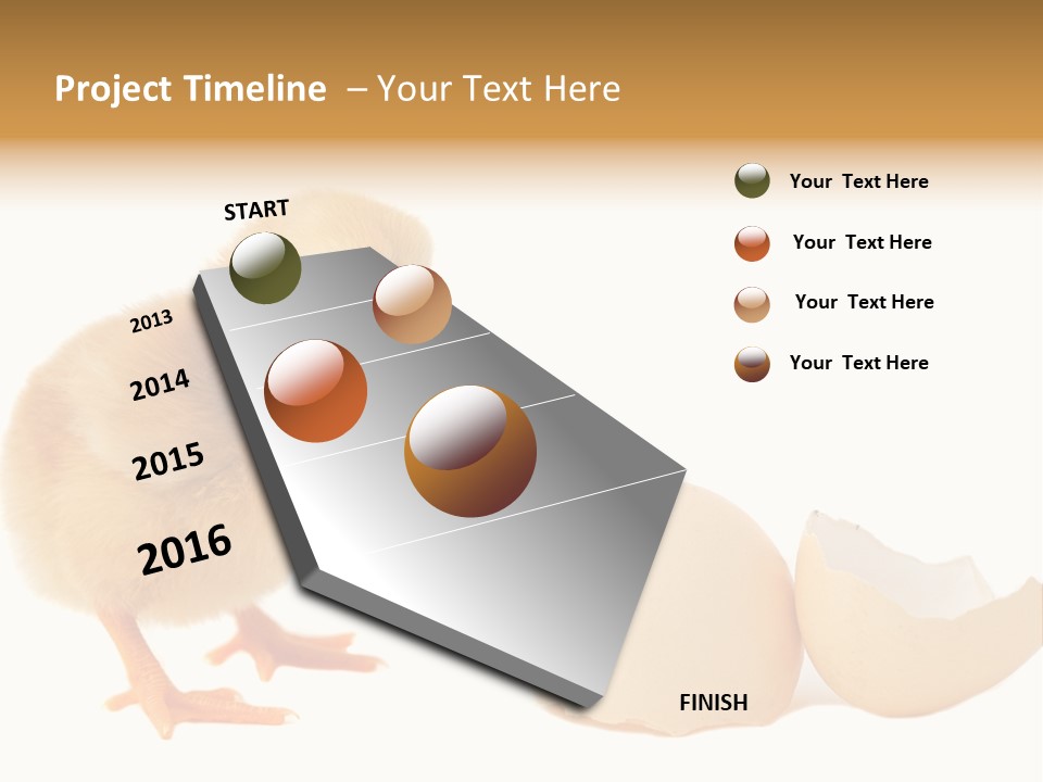 The Chick And The Egg PowerPoint Template