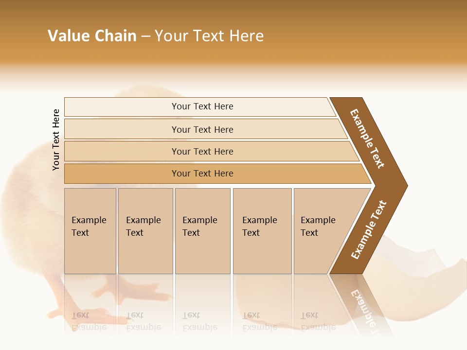 The Chick And The Egg PowerPoint Template
