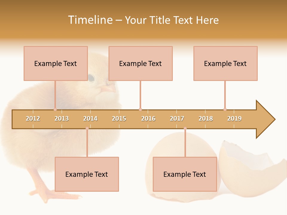 The Chick And The Egg PowerPoint Template