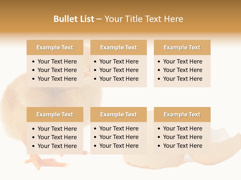 The Chick And The Egg PowerPoint Template