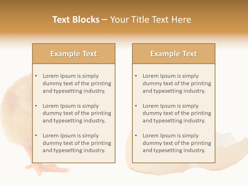 The Chick And The Egg PowerPoint Template