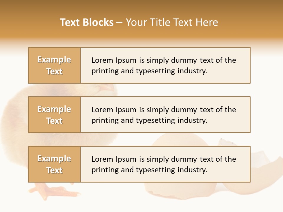The Chick And The Egg PowerPoint Template