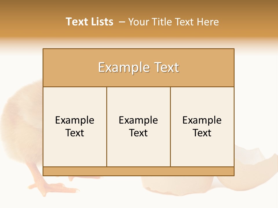 The Chick And The Egg PowerPoint Template