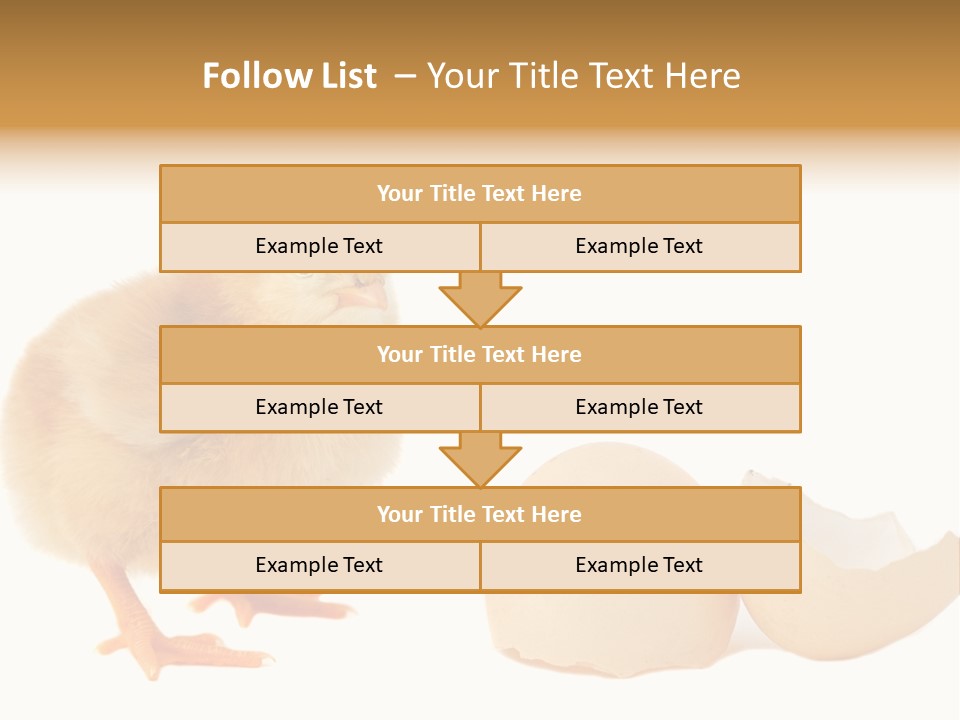 The Chick And The Egg PowerPoint Template