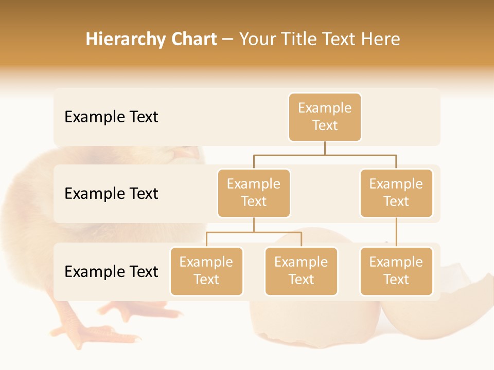 The Chick And The Egg PowerPoint Template