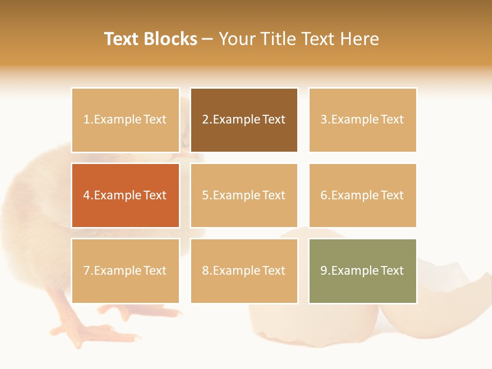 The Chick And The Egg PowerPoint Template