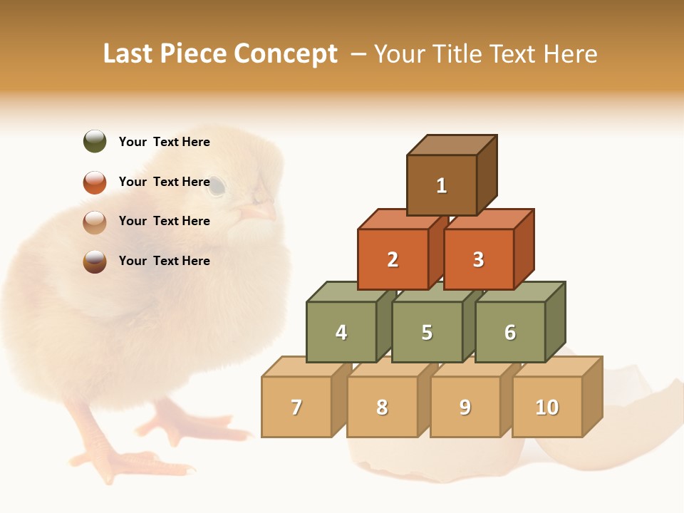 The Chick And The Egg PowerPoint Template