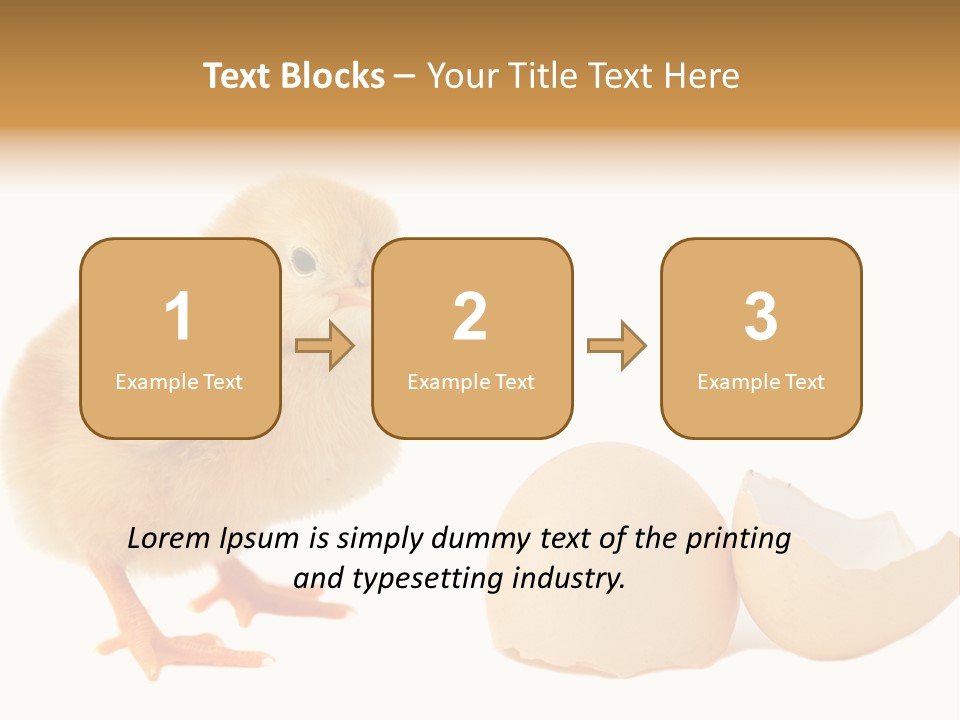 The Chick And The Egg PowerPoint Template