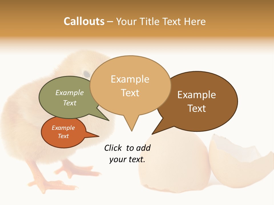 The Chick And The Egg PowerPoint Template