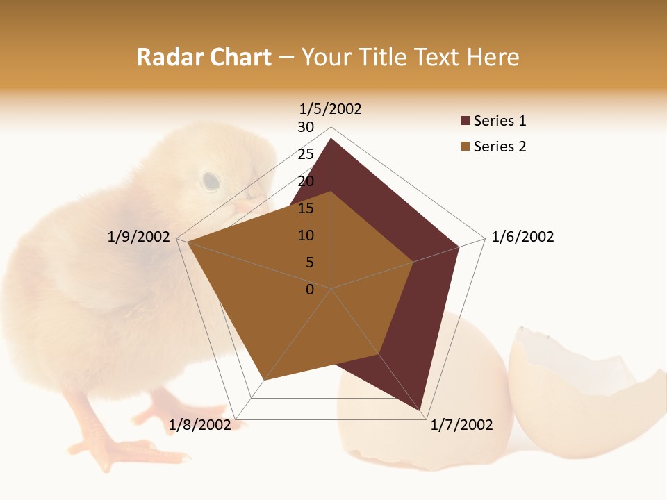 The Chick And The Egg PowerPoint Template