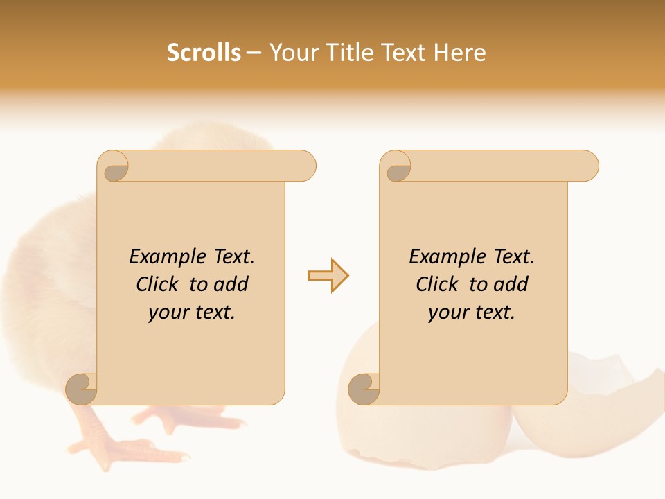 The Chick And The Egg PowerPoint Template