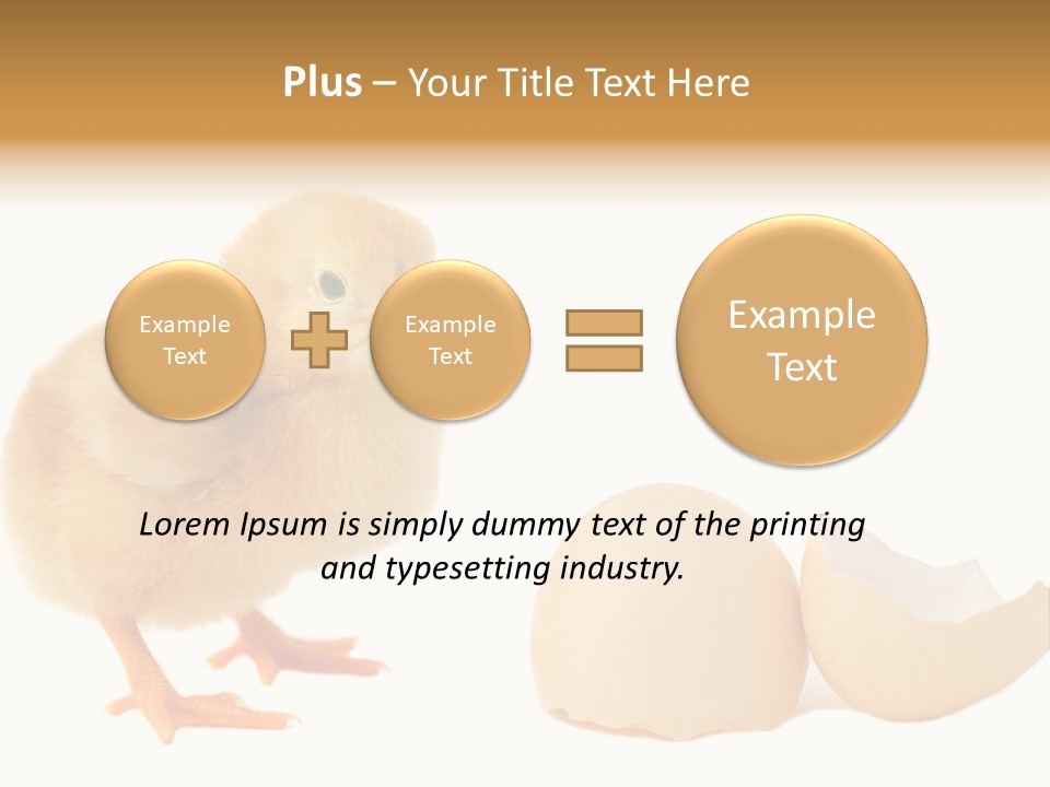 The Chick And The Egg PowerPoint Template