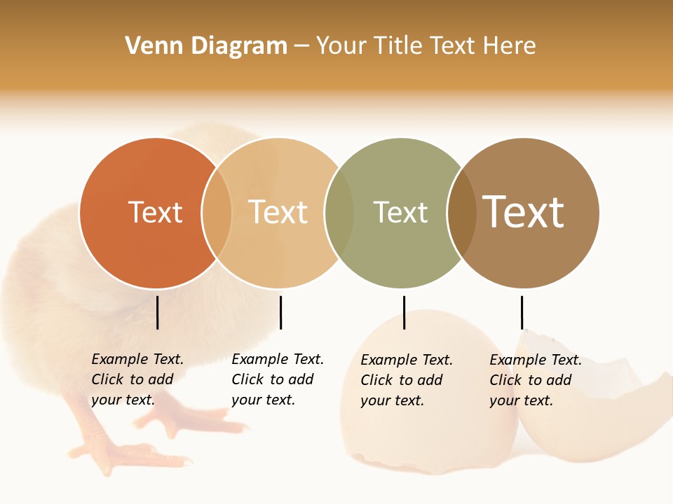 The Chick And The Egg PowerPoint Template