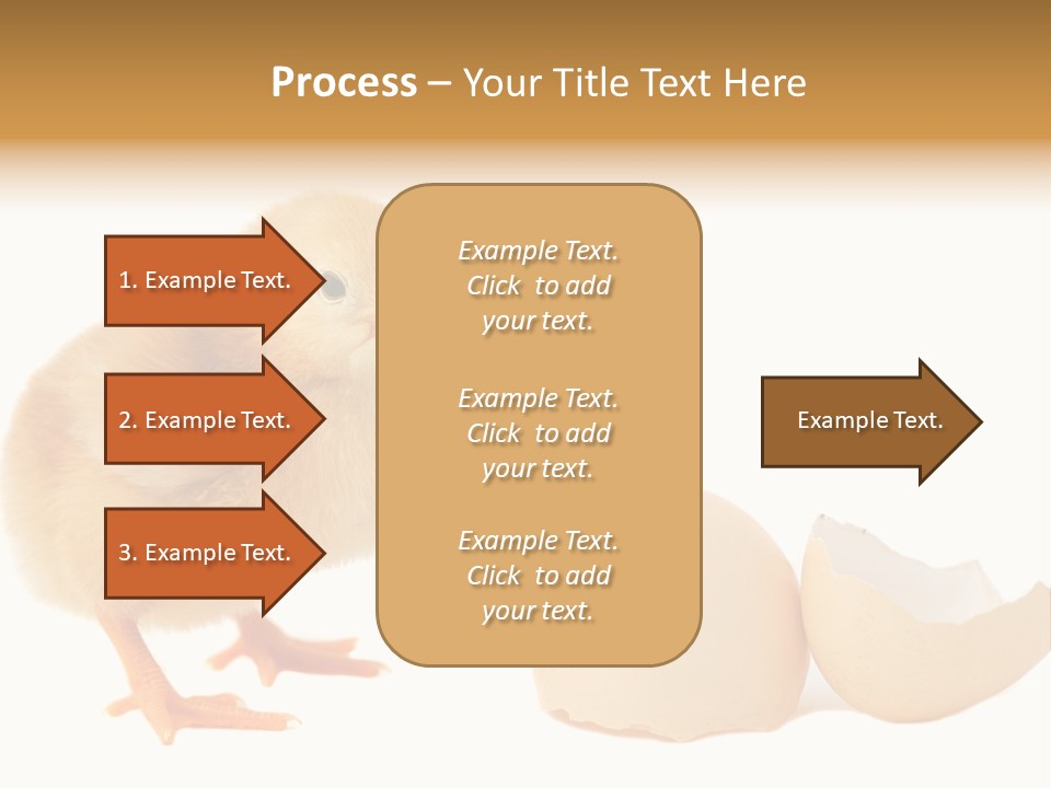 The Chick And The Egg PowerPoint Template