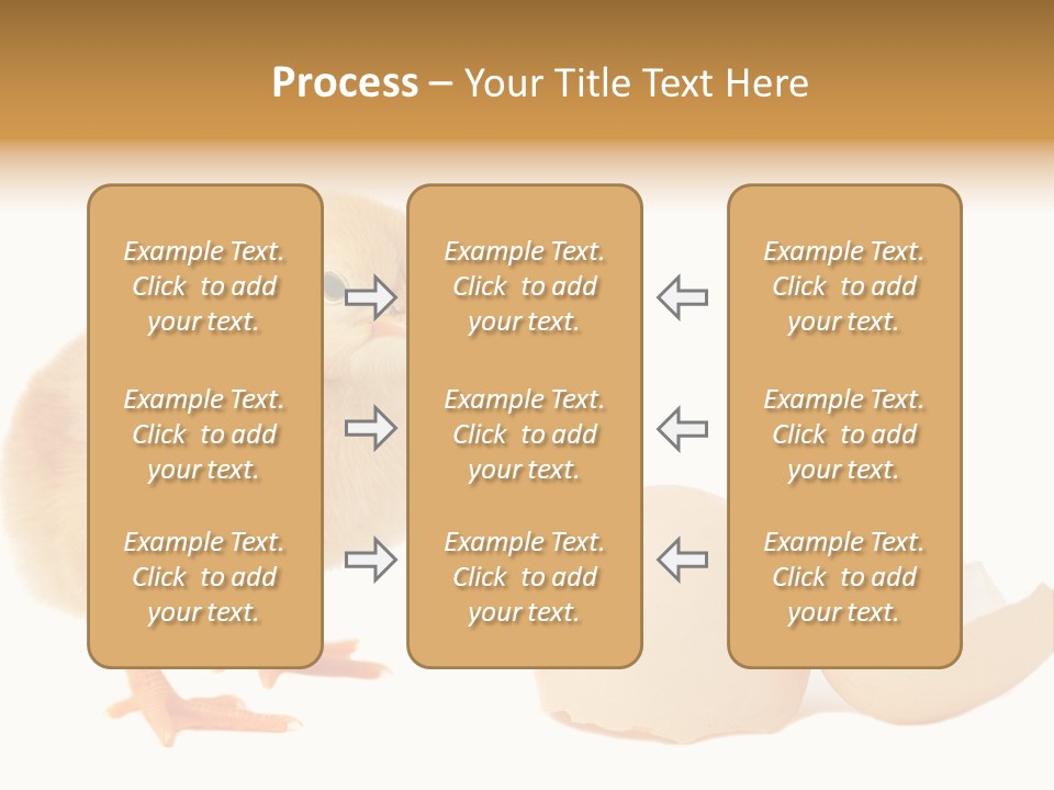 The Chick And The Egg PowerPoint Template