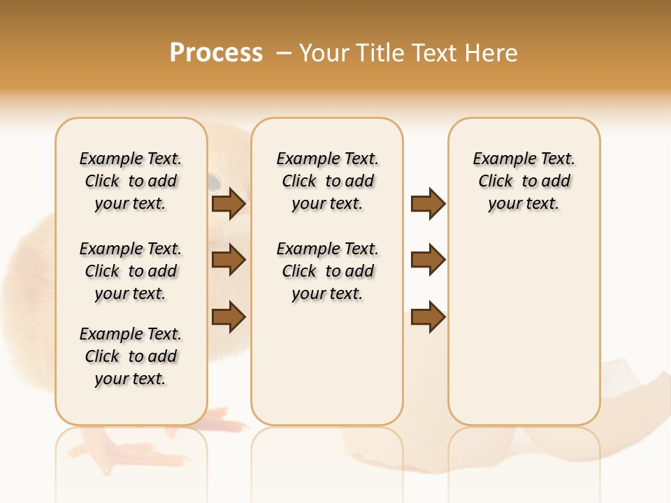 The Chick And The Egg PowerPoint Template