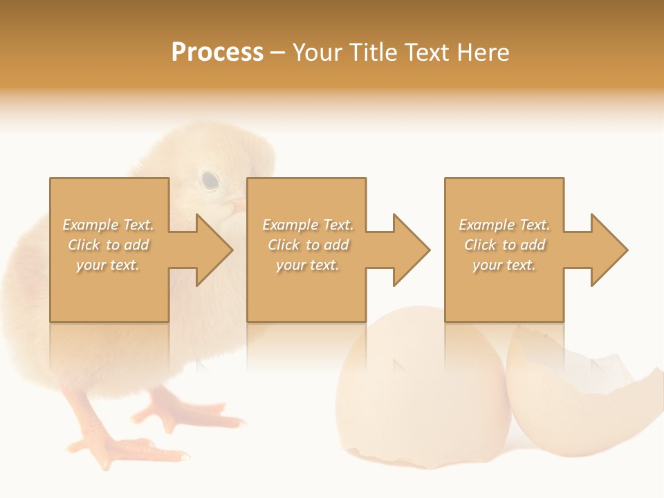 The Chick And The Egg PowerPoint Template