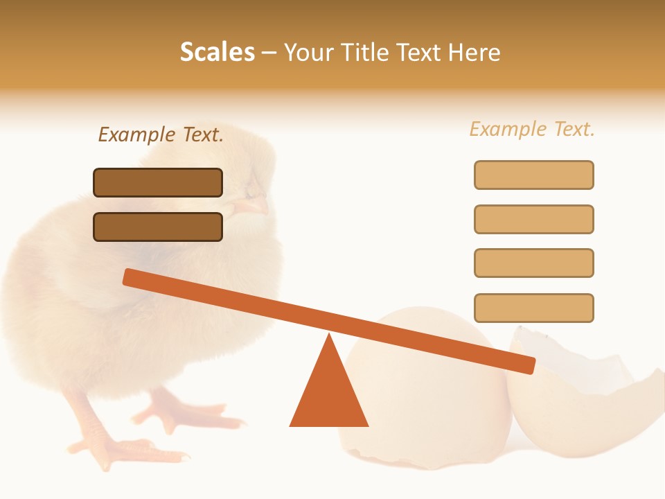 The Chick And The Egg PowerPoint Template