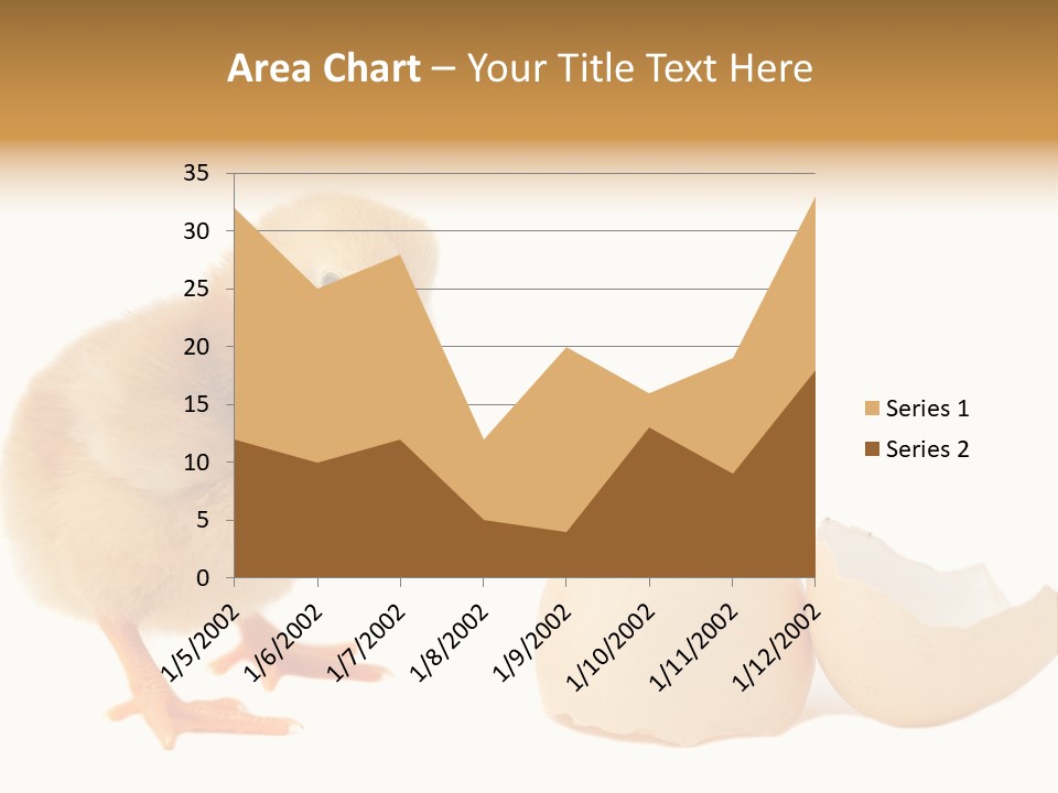 The Chick And The Egg PowerPoint Template
