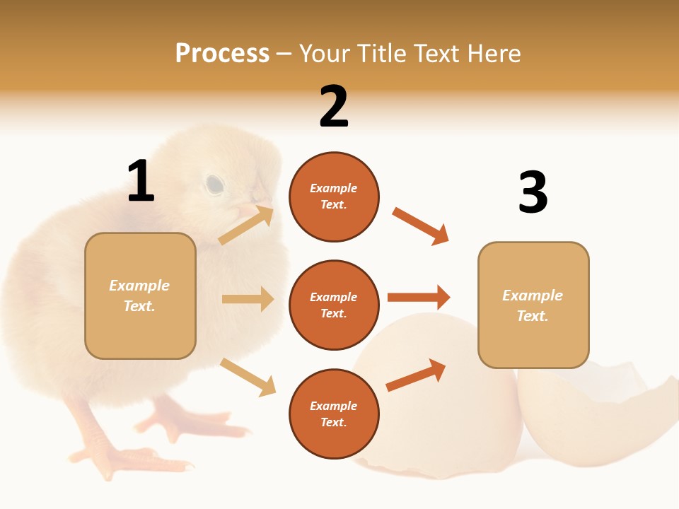 The Chick And The Egg PowerPoint Template